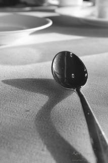 10351012_10152884408660742_7414028677076490043_n[1]